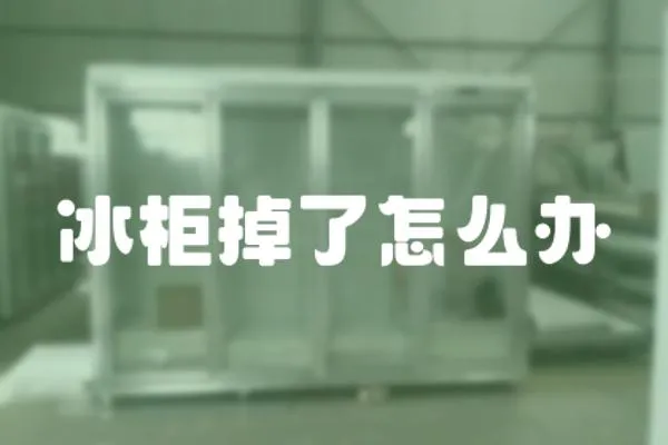 冰柜掉了怎么辦