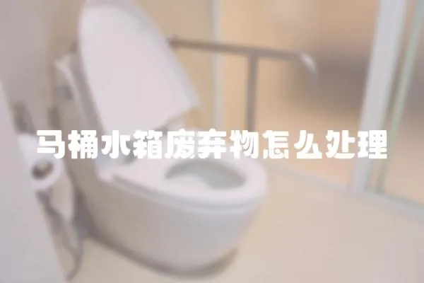 馬桶水箱廢棄物怎么處理