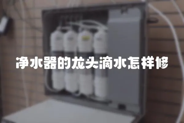 凈水器的龍頭滴水怎樣修