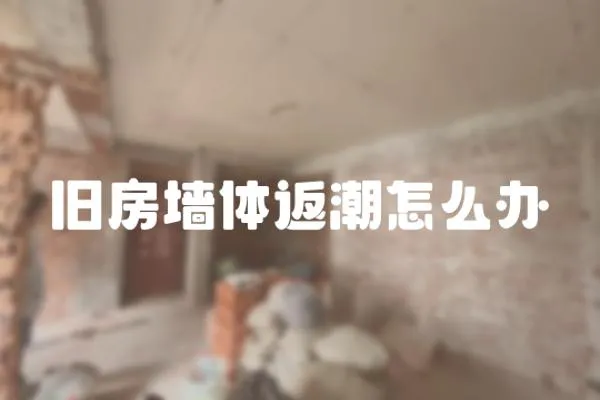 舊房墻體返潮怎么辦