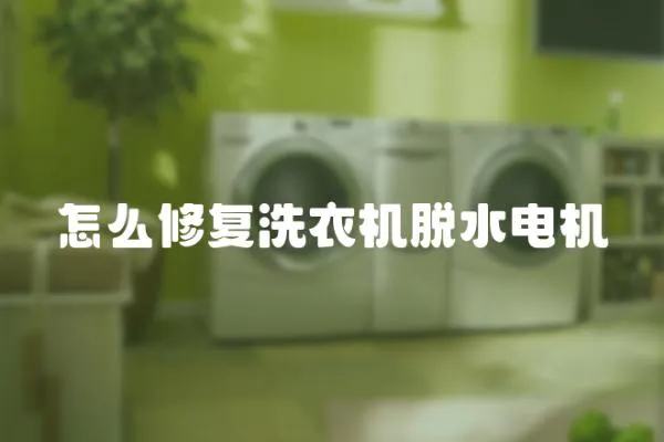 怎么修復洗衣機脫水電機