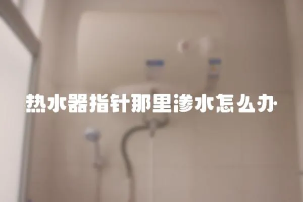 熱水器指針那里滲水怎么辦