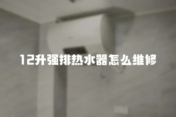 12升強排熱水器怎么維修