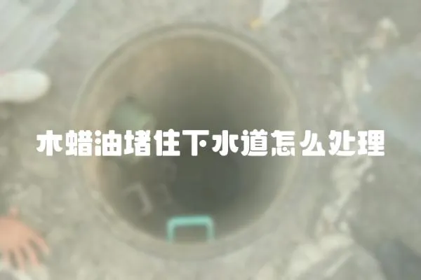 木蠟油堵住下水道怎么處理