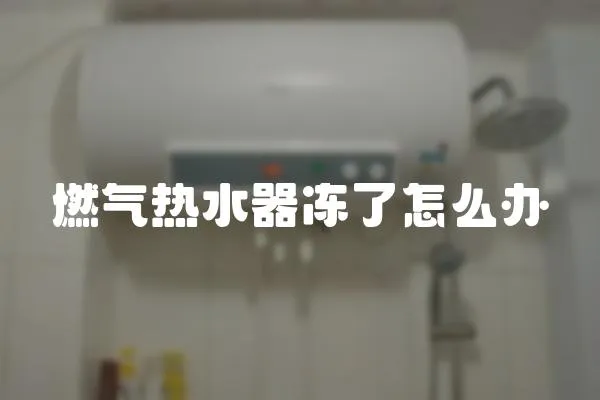燃氣熱水器凍了怎么辦