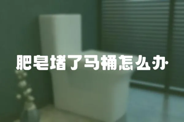 肥皂堵了馬桶怎么辦