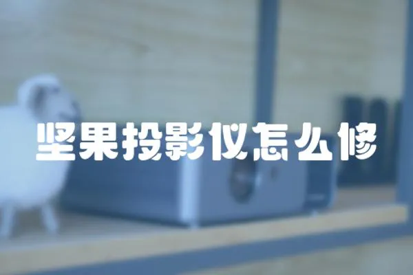 堅(jiān)果投影儀怎么修