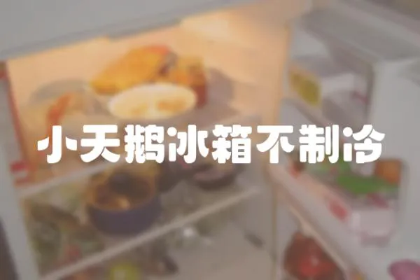 小天鵝冰箱不制冷