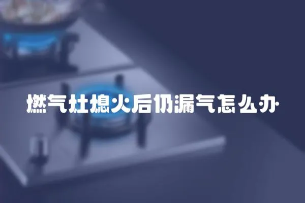 燃氣灶熄火后仍漏氣怎么辦