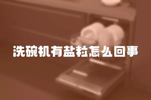 洗碗機有鹽粒怎么回事
