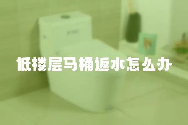 低樓層馬桶返水怎么辦