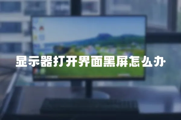 顯示器打開界面黑屏怎么辦