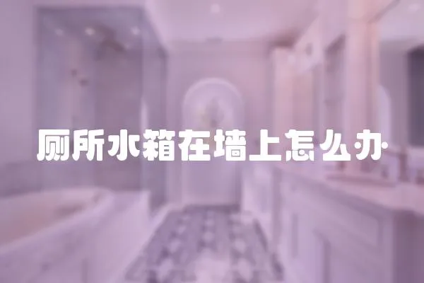 廁所水箱在墻上怎么辦