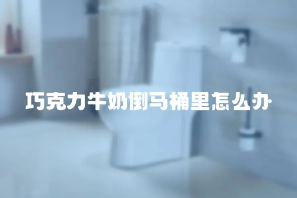 巧克力牛奶倒馬桶里怎么辦