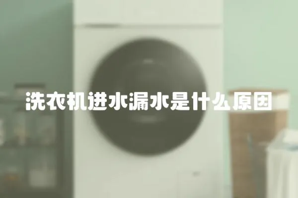 洗衣機進水漏水是什么原因