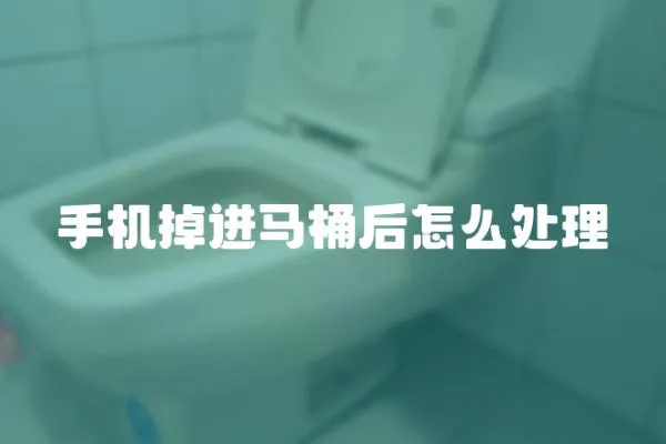 手機掉進馬桶后怎么處理