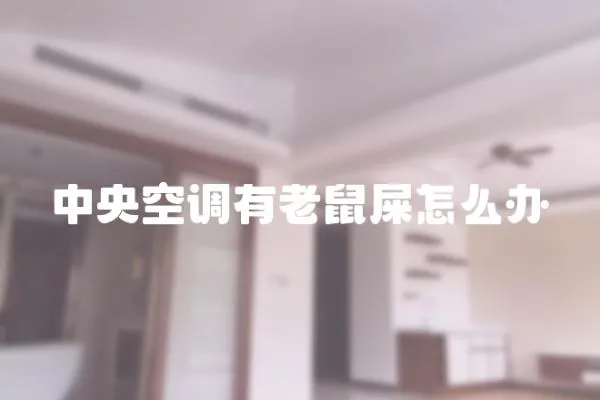 中央空調有老鼠屎怎么辦