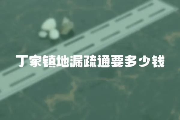 丁家鎮地漏疏通要多少錢