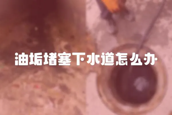 油垢堵塞下水道怎么辦