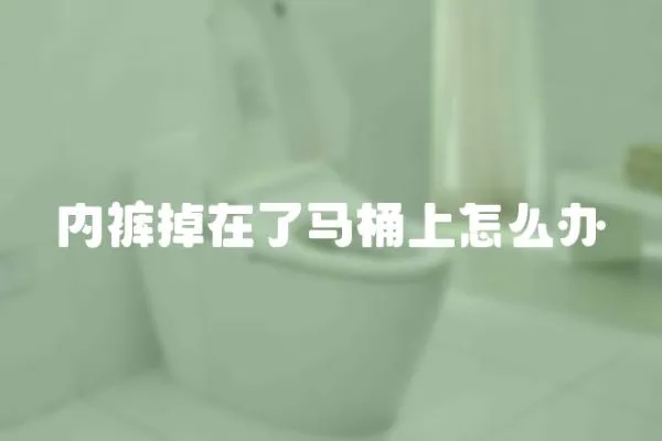 內(nèi)褲掉在了馬桶上怎么辦