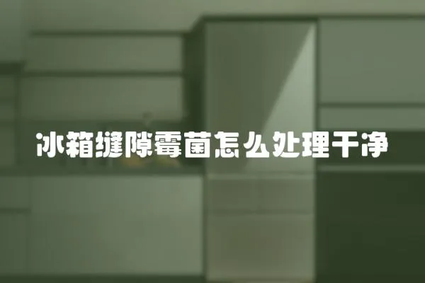 冰箱縫隙霉菌怎么處理干凈
