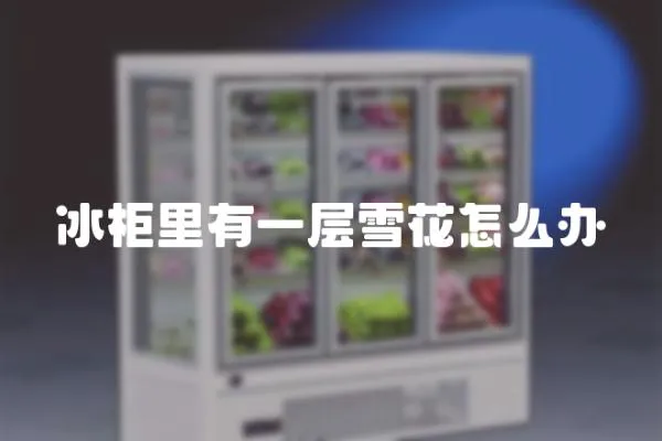 冰柜里有一層雪花怎么辦