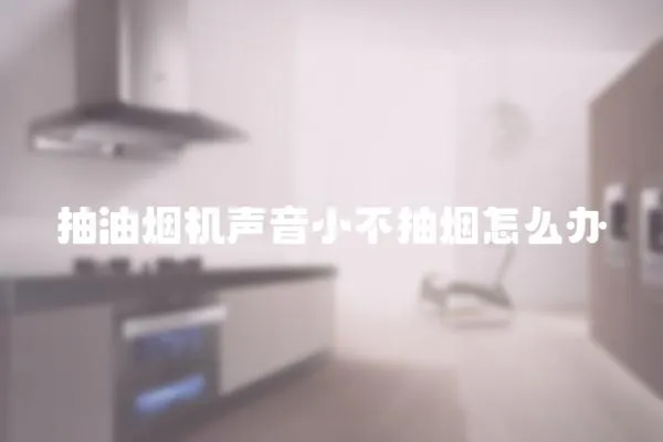 抽油煙機聲音小不抽煙怎么辦