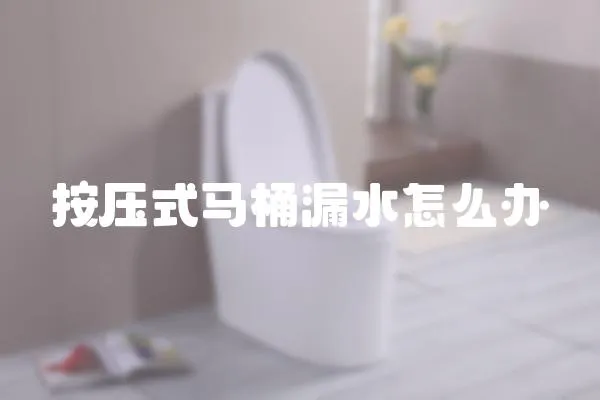 按壓式馬桶漏水怎么辦