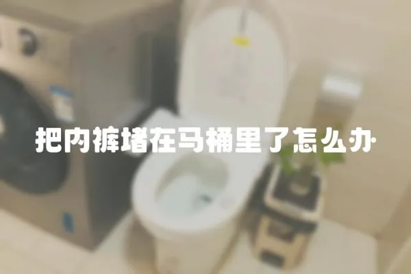 把內褲堵在馬桶里了怎么辦