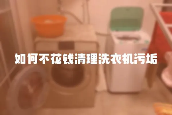 如何不花錢清理洗衣機污垢