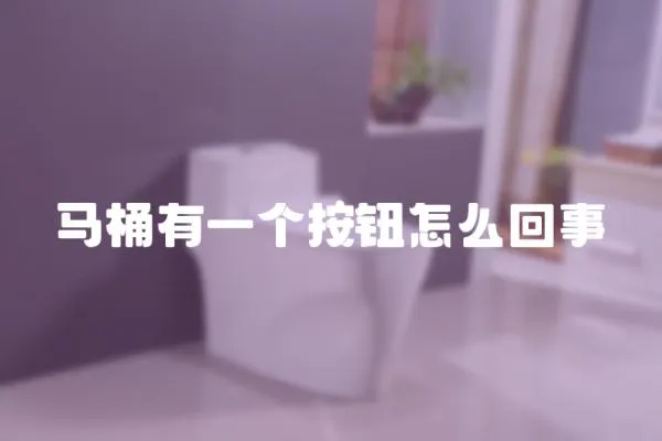 馬桶有一個按鈕怎么回事