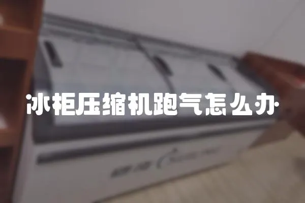 冰柜壓縮機跑氣怎么辦