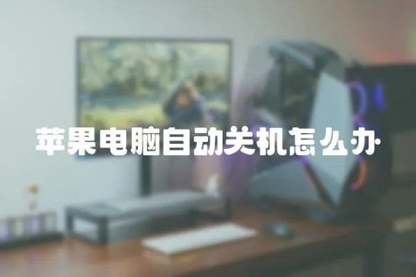 蘋果電腦自動關機怎么辦