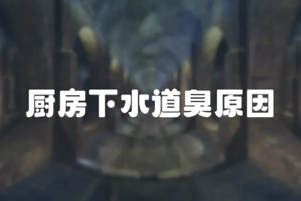 廚房下水道臭原因