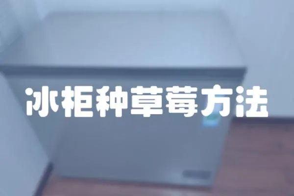 冰柜種草莓方法