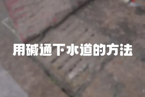 用堿通下水道的方法