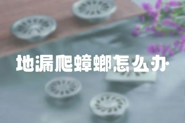 地漏爬蟑螂怎么辦