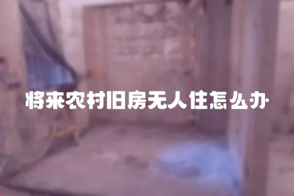 將來農村舊房無人住怎么辦
