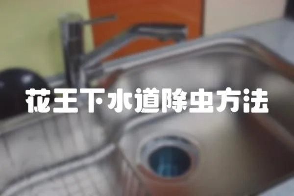 花王下水道除蟲方法