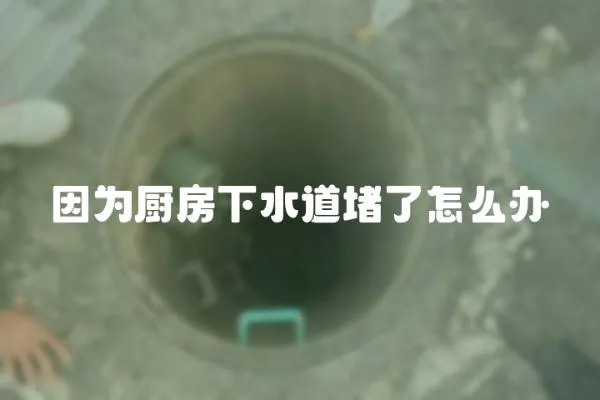 因為廚房下水道堵了怎么辦