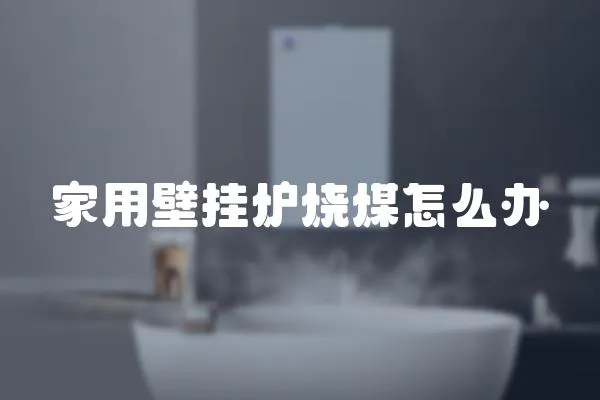 家用壁掛爐燒煤怎么辦