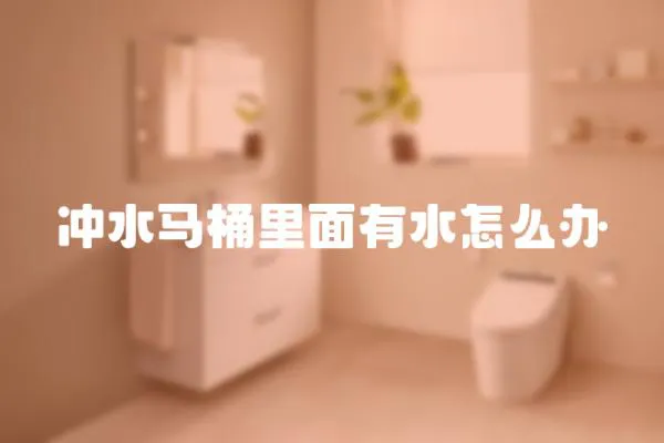 沖水馬桶里面有水怎么辦