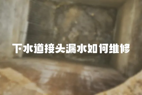 下水道接頭漏水如何維修