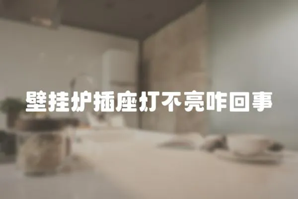 壁掛爐插座燈不亮咋回事