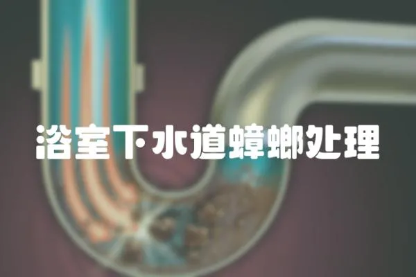 浴室下水道蟑螂處理