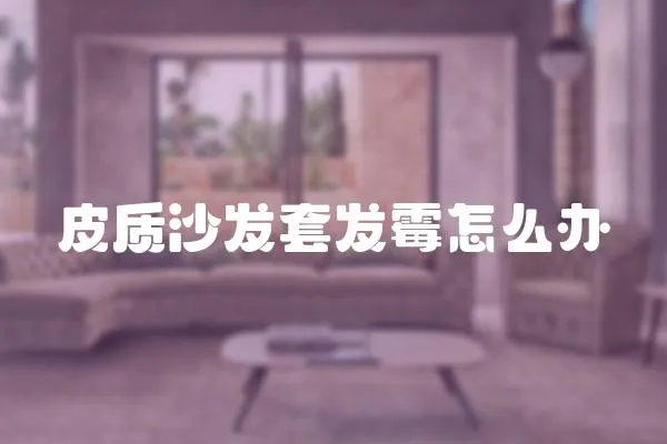 皮質沙發套發霉怎么辦