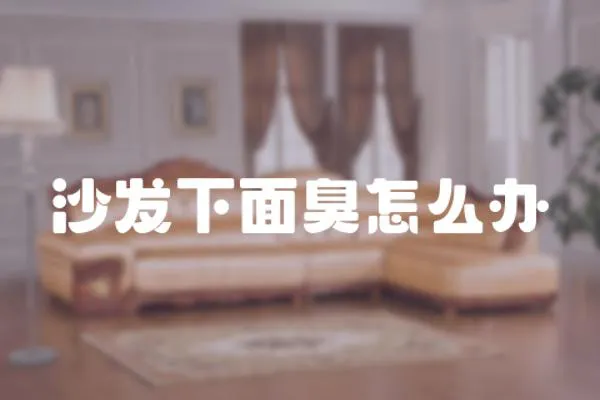沙發(fā)下面臭怎么辦