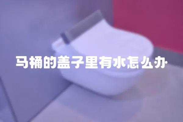 馬桶的蓋子里有水怎么辦