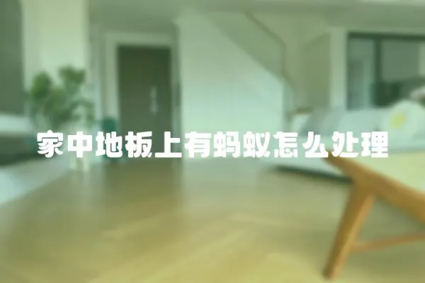 家中地板上有螞蟻怎么處理
