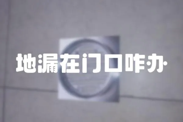 地漏在門口咋辦
